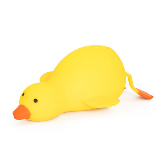 Duck Squishy