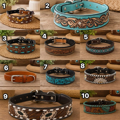 Dog Collar Pre order